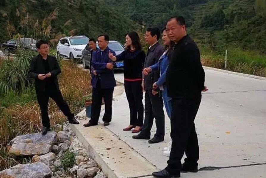 铜仁市副市长胡洪成到印江县调研雷竹产业发展情况