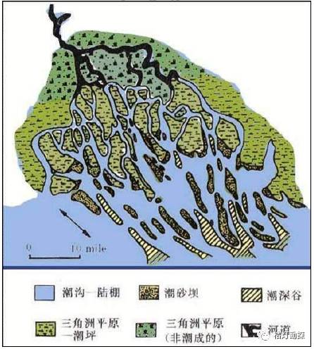 教育 正文 1-分支河道决口扇;2-三角洲前缘(包括河口砂坝,席状砂;3