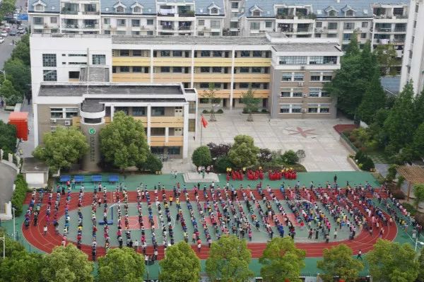 【百姓身边好学校】合肥市阳光小学:培养"智仁勇"的