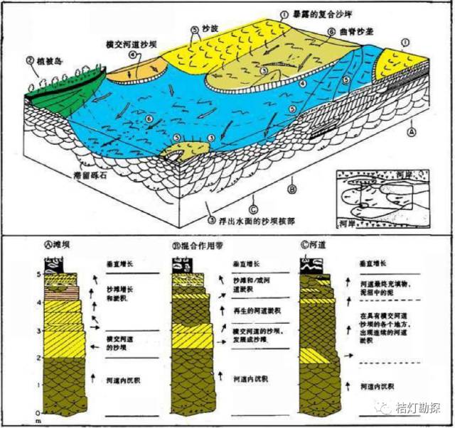 砂质辫状河的地貌单元及垂向沉积序列示意图