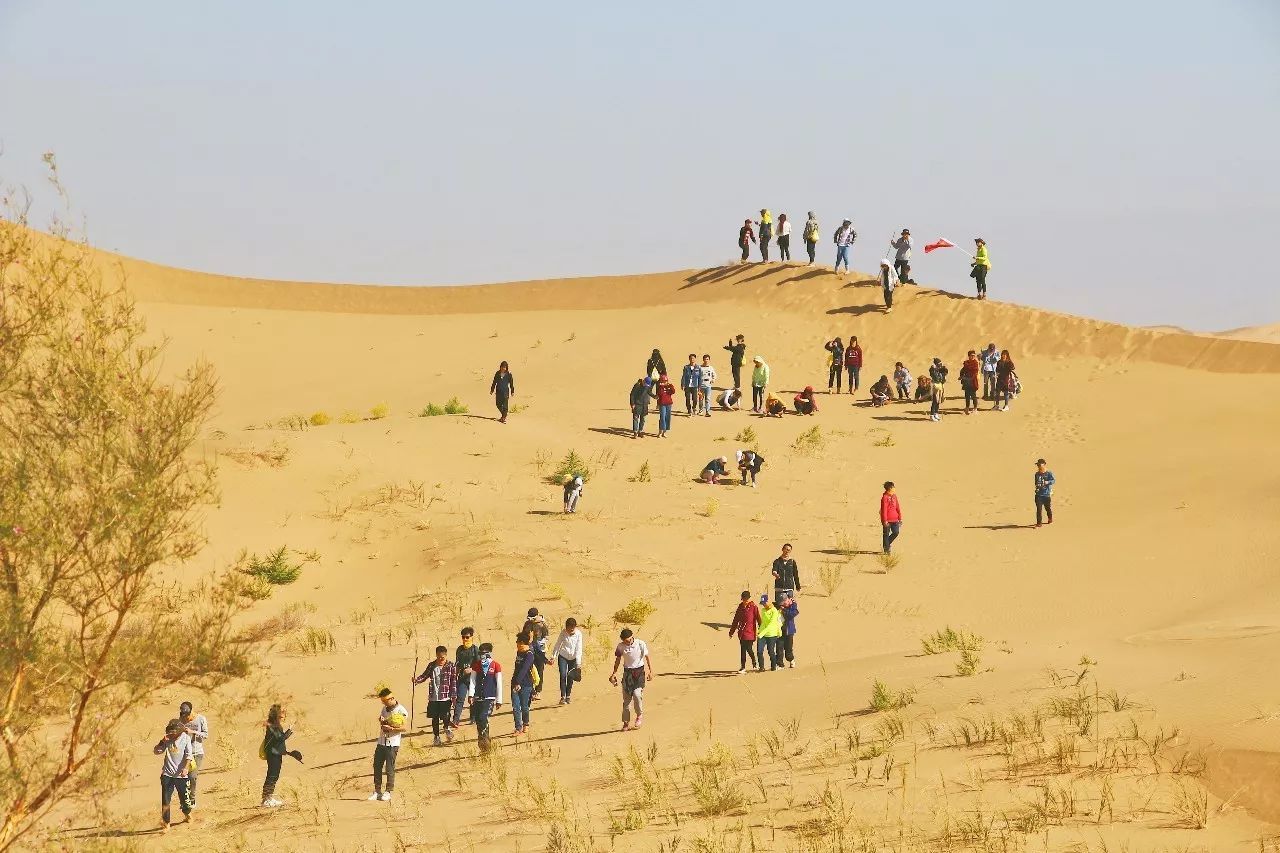 沙漠拍婚纱照_旅拍婚纱照