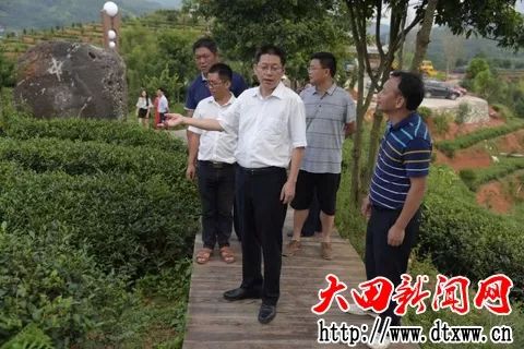 县委书记熊旭明到广平镇调研项目建设