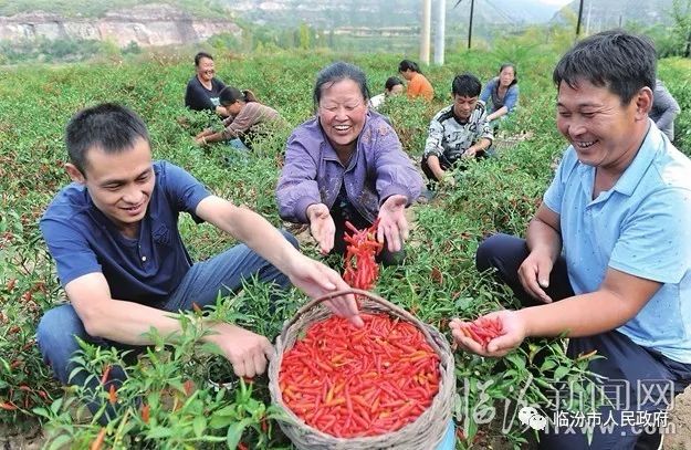 娱乐 正文  9月28日,在大宁县昕水镇石城村,驻村