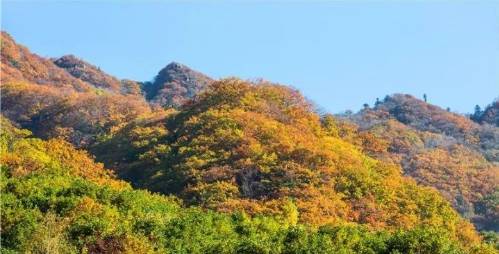 花脖山