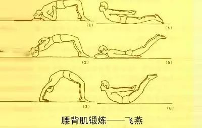 科学养生腰部锻炼10字经