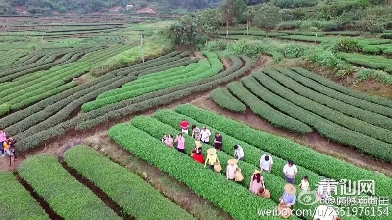 莆田有多少人口_莆田系 假药 假鞋 寺庙,加油站,岂止是上天了(3)