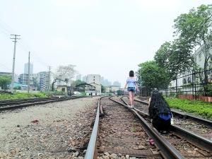 广州研究废旧铁路更新改造 何处老铁路将变新公园?