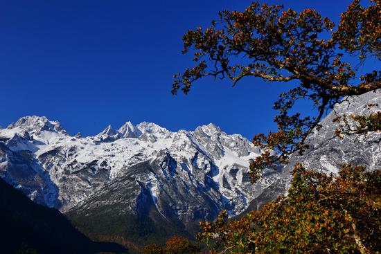 寻一段"高海拔之恋 玉龙雪山旅游攻略