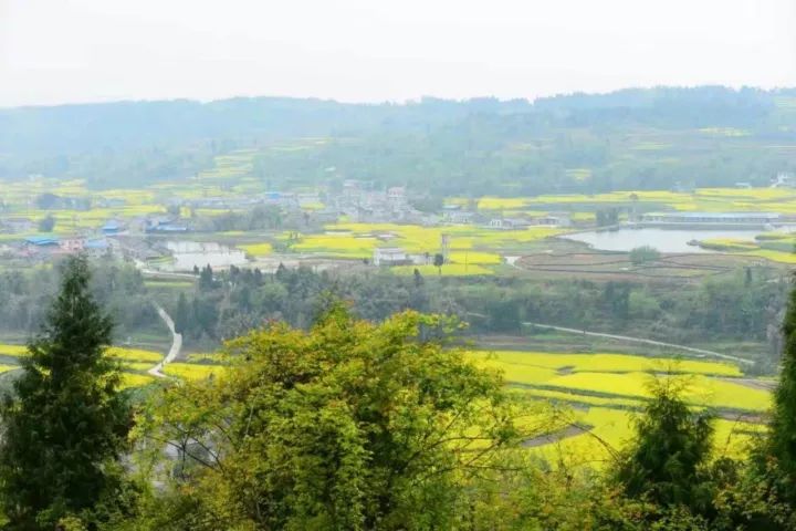 好戏连台江油市第五届乡村旅游节暨铜星乡第三届垂钓节10月13日隆重