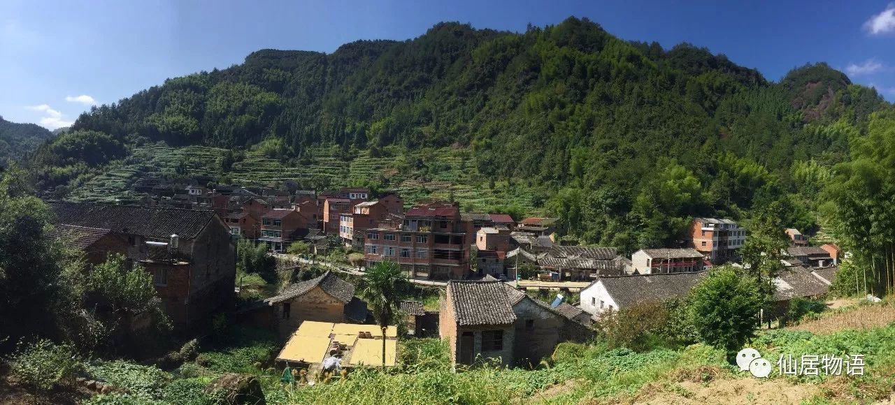 仙居古村落:连头村