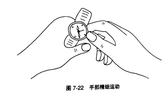 小儿脑瘫的手部训练一