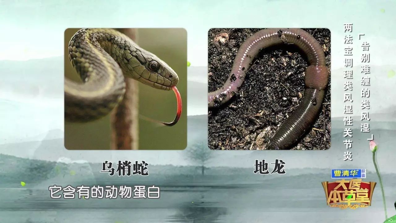 擅长治疗:中西医结合的方法治疗风湿性关节炎,颈椎病,腰间盘突出.