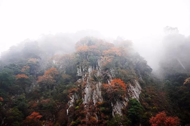 高山多少人口_织金县有多少人口(2)