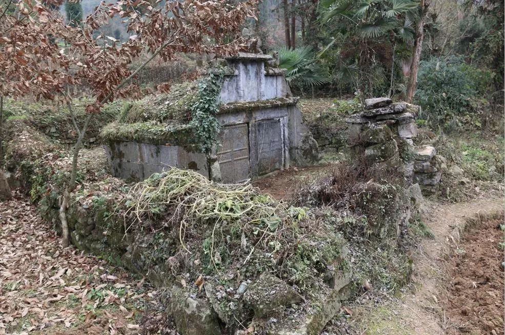 古墓葬(龙井村,巡检村,朱场村)