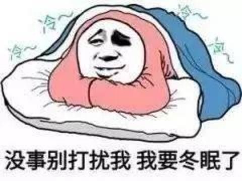 未来天气趋势