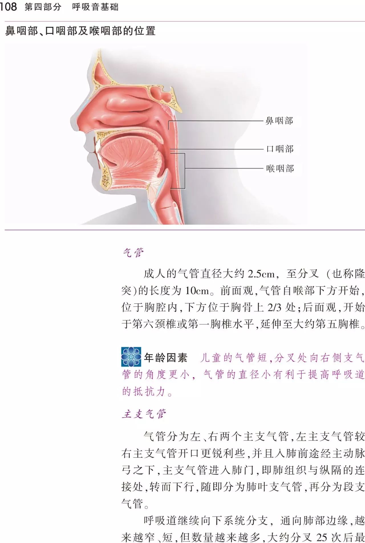 《听诊技巧:呼吸音及心音》(第5版)——快速提高临床听诊能力,可用