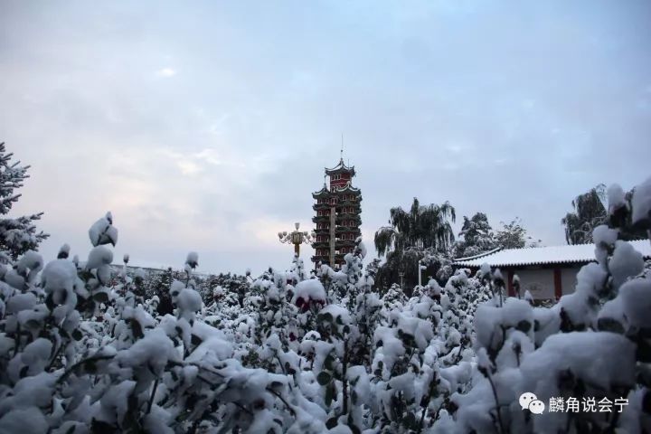 五,会宁一中雪景 来源:槐花飘香