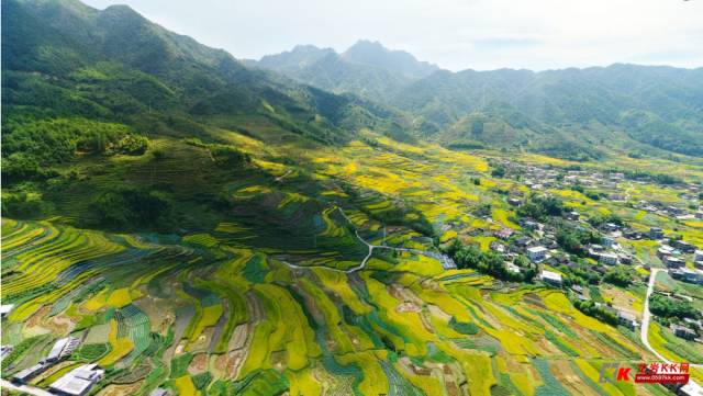 永定区虎岗镇汉洋村龙人口_永定区湖坑镇李建荣