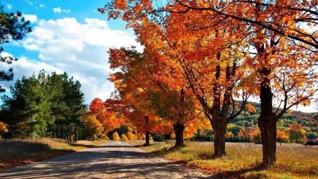 形容秋天的景色的句子 描写秋天景色优美句子