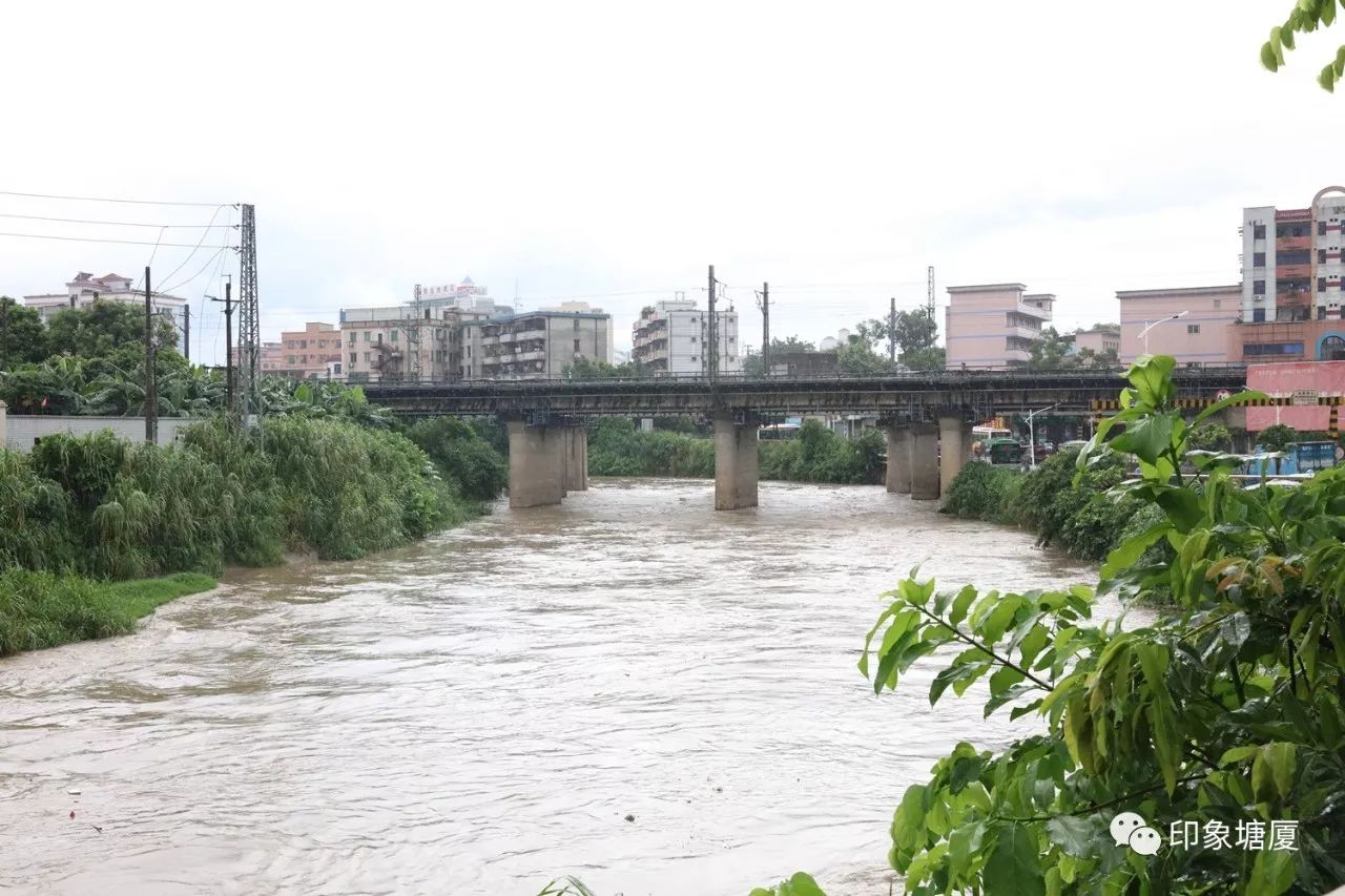 (图为石马河塘厦段)