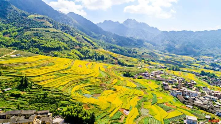 永定区虎岗镇汉洋村龙人口_永定区湖坑镇李建荣