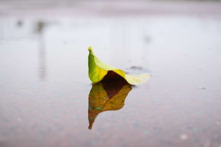 雨中仁爱|一夜入冬!你穿上秋裤了吗?