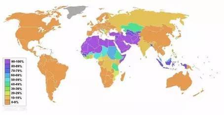 穆斯林 人口比例_伊斯兰国为何总将恐袭目标对准法国