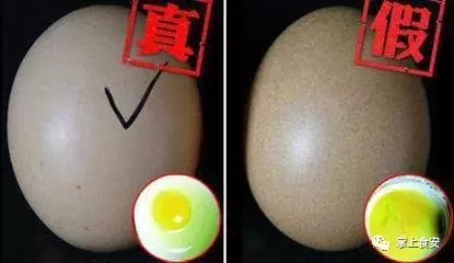 人造鸡蛋和真鸡蛋的区别? 如何辨别鸡蛋的真假?