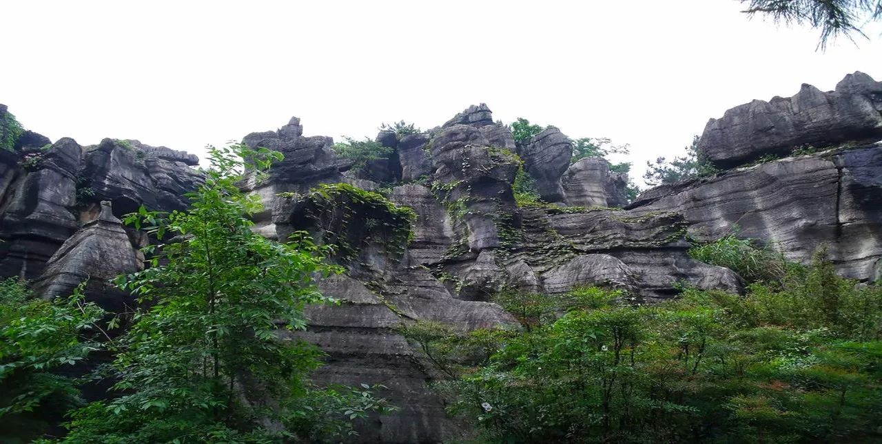 最默默无闻的石林,却是中国石林鼻祖——万盛石林重庆