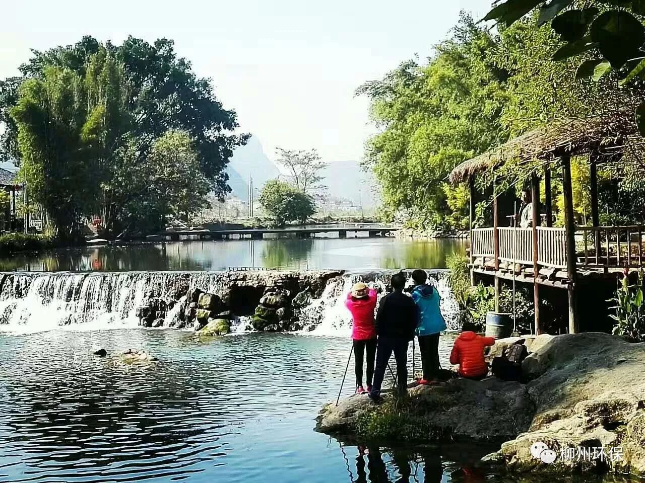 树",我们村民正是依托良好生态,换来了真金白银,发展原生态休闲旅游业