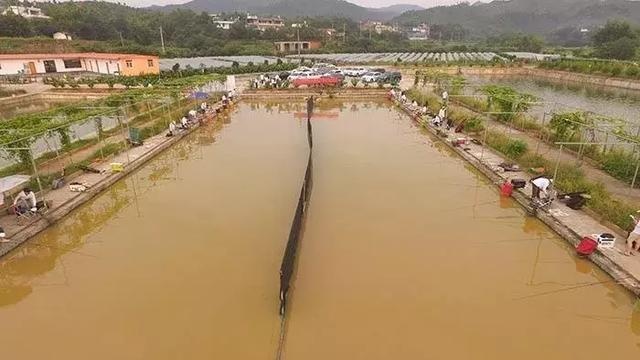 2017年8月13日,江西于都"行营钓具杯"钓鱼比赛,在赣州于都金溪湾垂钓