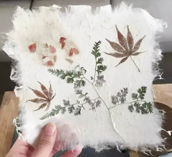 手作温度no.4丨造一张花草纸 恋上古老的自然味道