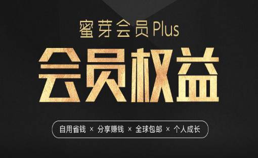 02 什么是plus合伙人 蜜芽plus会员的首要权益就是 子妹