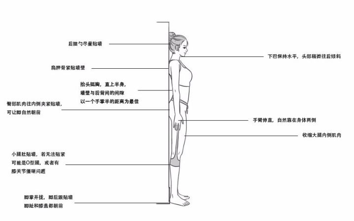 饭后靠墙站一会,坚持30天会有什么变化?