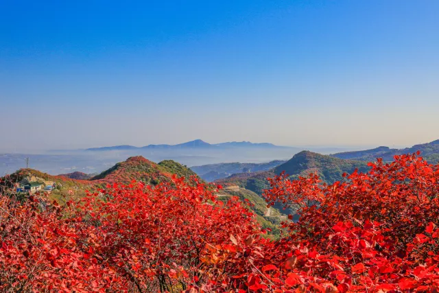 长寿山因有久居仙山的自然景观石龙,石龟,还有树龄超过千年,峥嵘苍劲