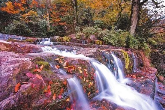 尤其秋景最美 高原的湖泊静静地躺在这里 昭通彝良小草坝 秋采红叶,五