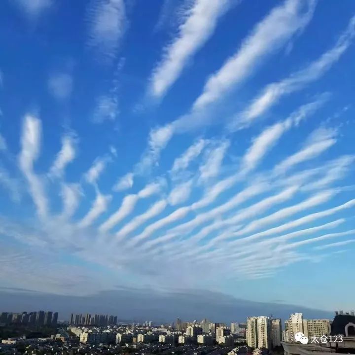 文化 正文  这些天太仓的天气晴好 大家出门的时候都爱抬头看看蓝天