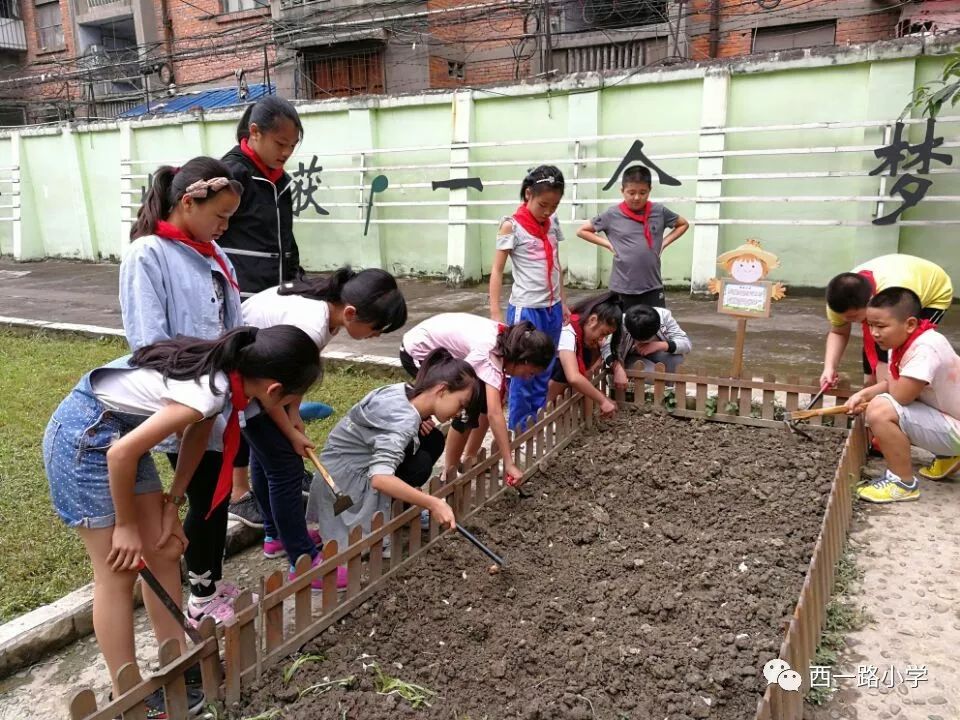 ——西一路小学种植园劳动实践基地