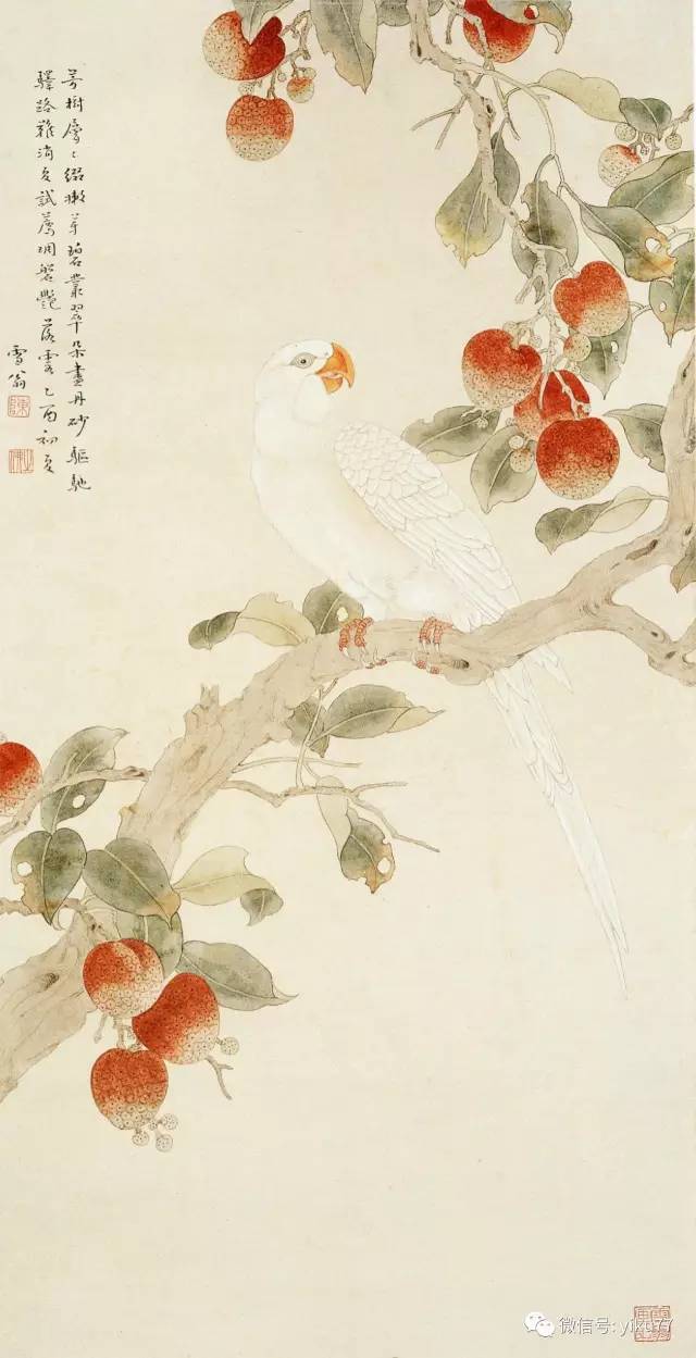 丹荔白鹦鹉 1945年陈之佛的工笔花鸟画与传统绘画存在着很大差别,如果