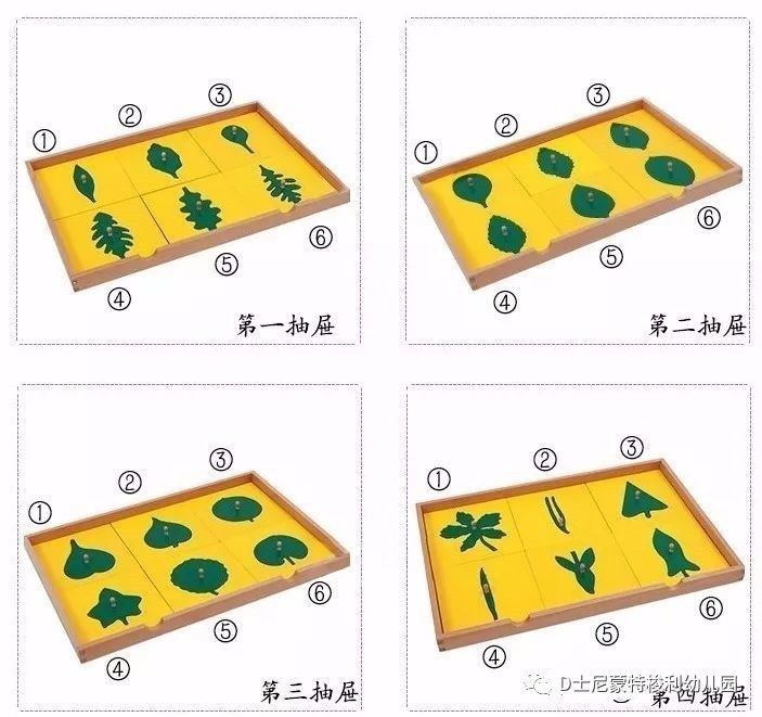 叶形嵌板橱中的每一个叶形都有三套72张不同的卡片:第1套:第一套中