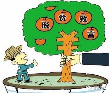 【清清卢氏】脱贫攻坚的卢氏实践—— 启示与思考