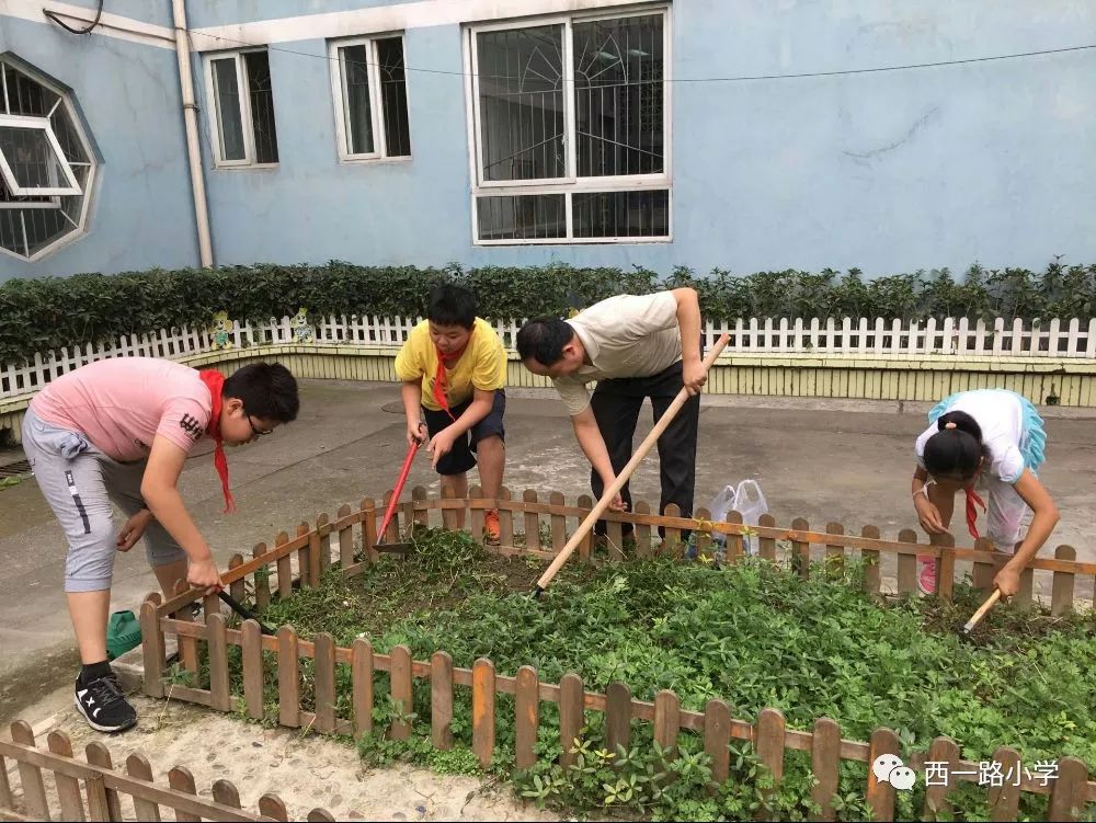 ——西一路小学种植园劳动实践基地