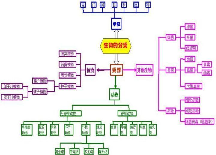 12张知识结构图,帮你扫清初中生物全部知识点,好简单!