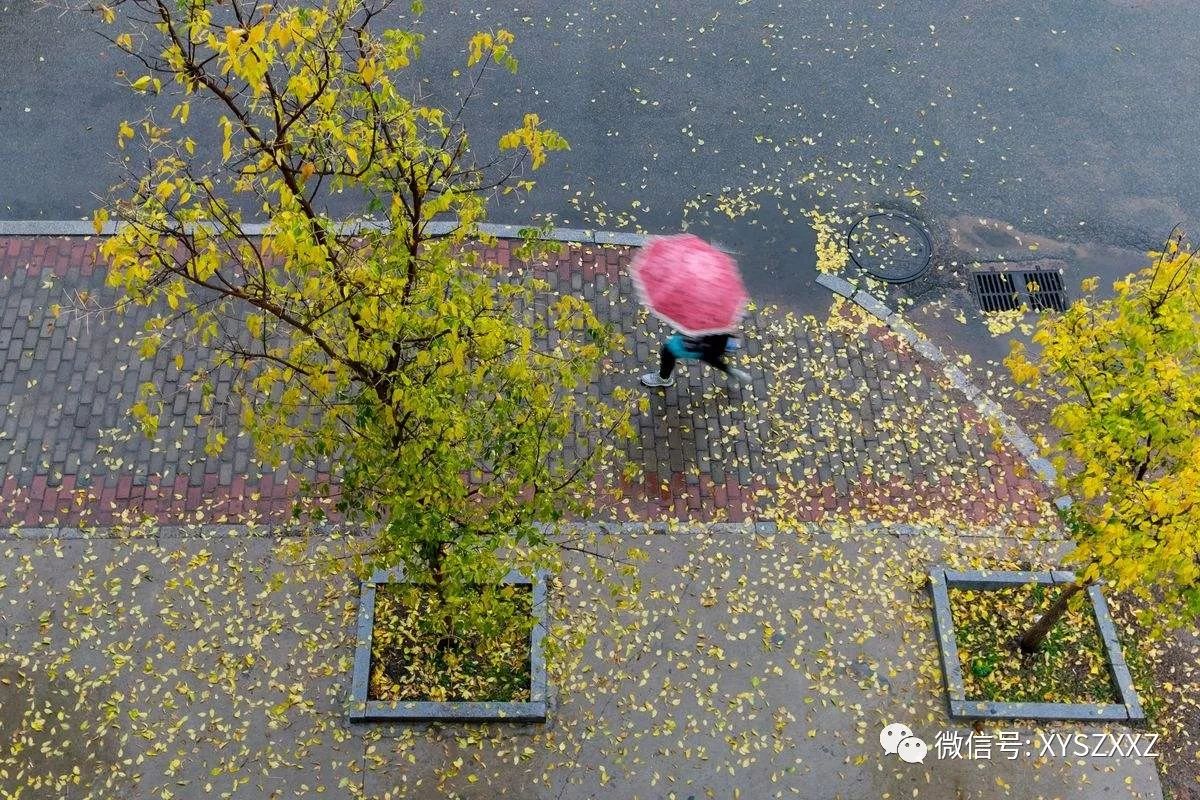 秋雨绵绵,寒意骤增,期待您为患者送去温暖