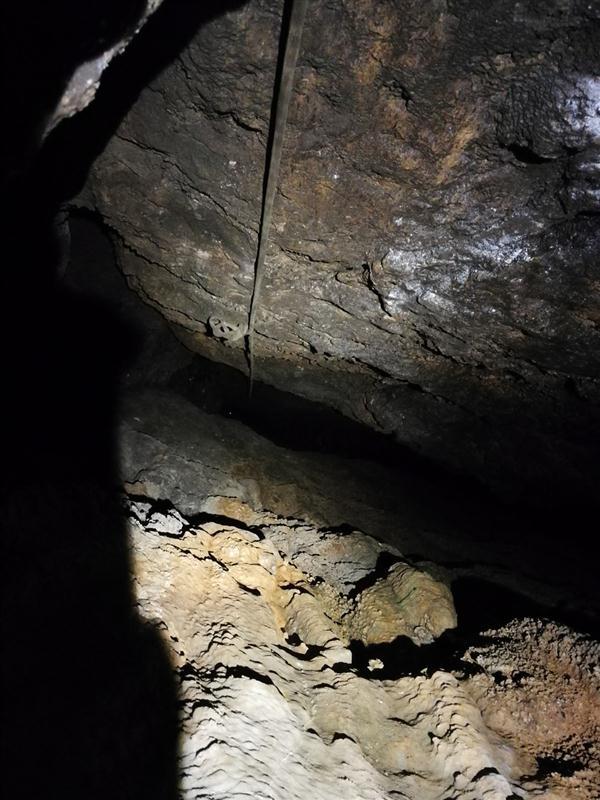 响水村洞穴探险,洞底发现已经消失几十年的岩羊尸骨