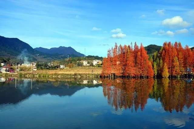 旅游  作为国际慢城旌德的重要组成部分,蔡家桥镇是国家级生态乡镇