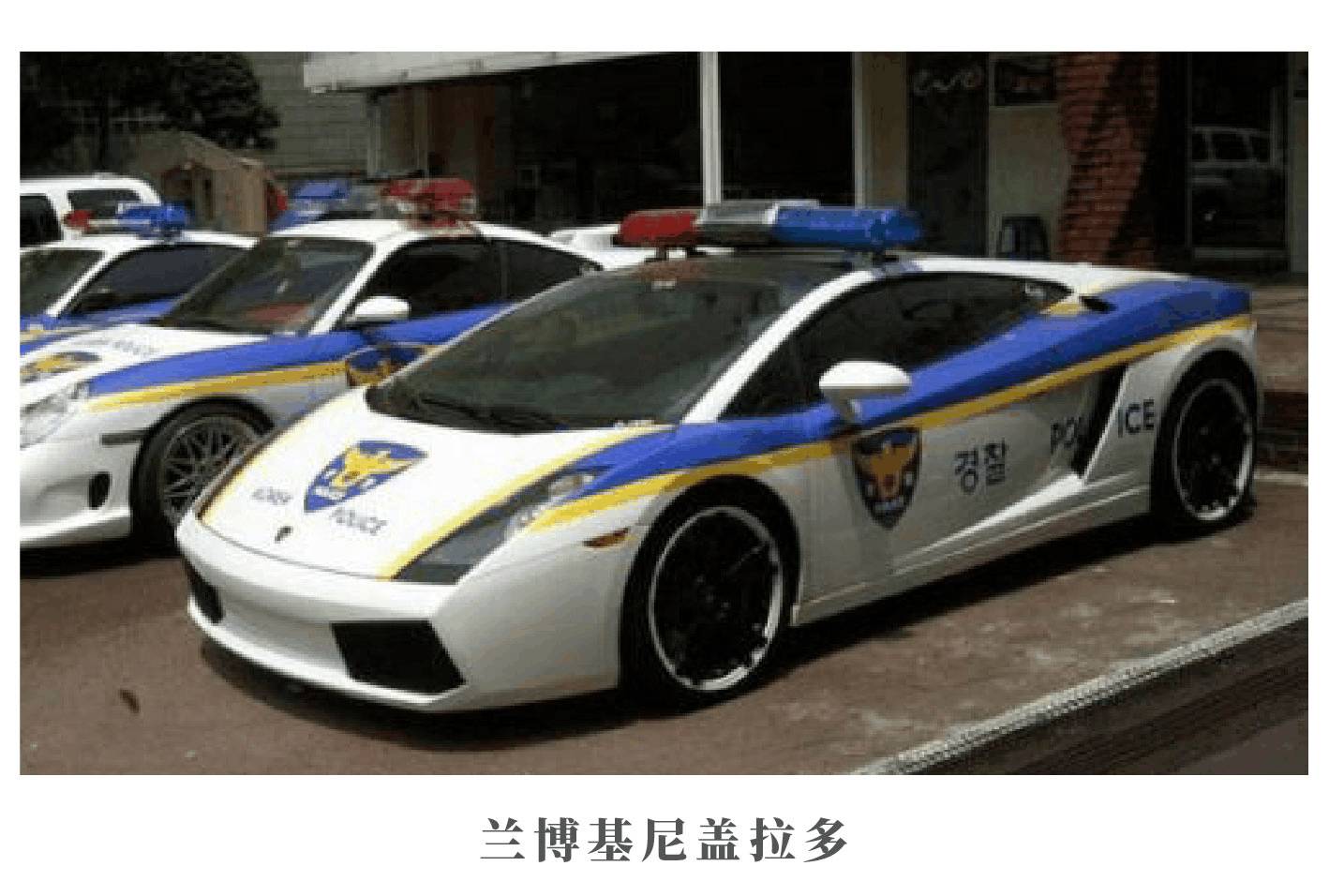 世界各国警车集锦,布加迪,兰博基尼也当警车?