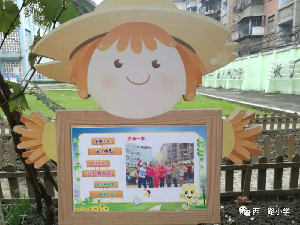 ——西一路小学种植园劳动实践基地