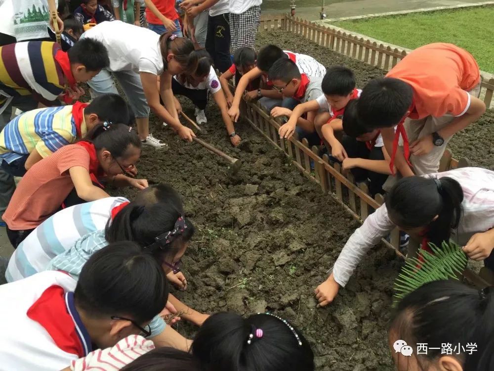 ——西一路小学种植园劳动实践基地