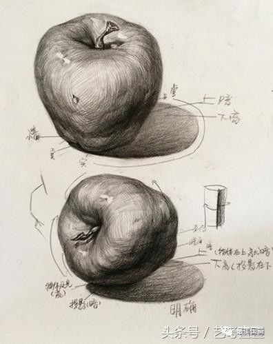 美术高考基础教学:素描静物单个物体刻画详解